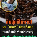 ต้มสุกก็ไม่ต.าย! พบ “ตัวการ” ก่อม.ะเ.ร็.งตั.บ! หมอเตือนพิษร้ายกว่าสารหนู 68 เท่า แต่หลายบ้านยังกินซ้...